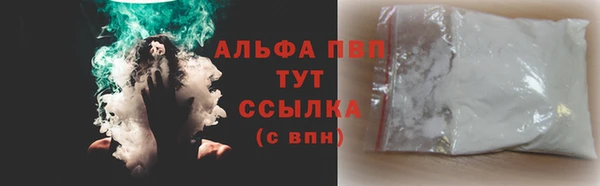 PSILOCYBIN Переславль-Залесский