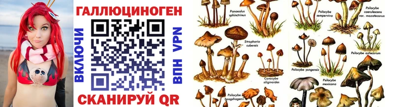 Галлюциногенные грибы Cubensis  Когалым 